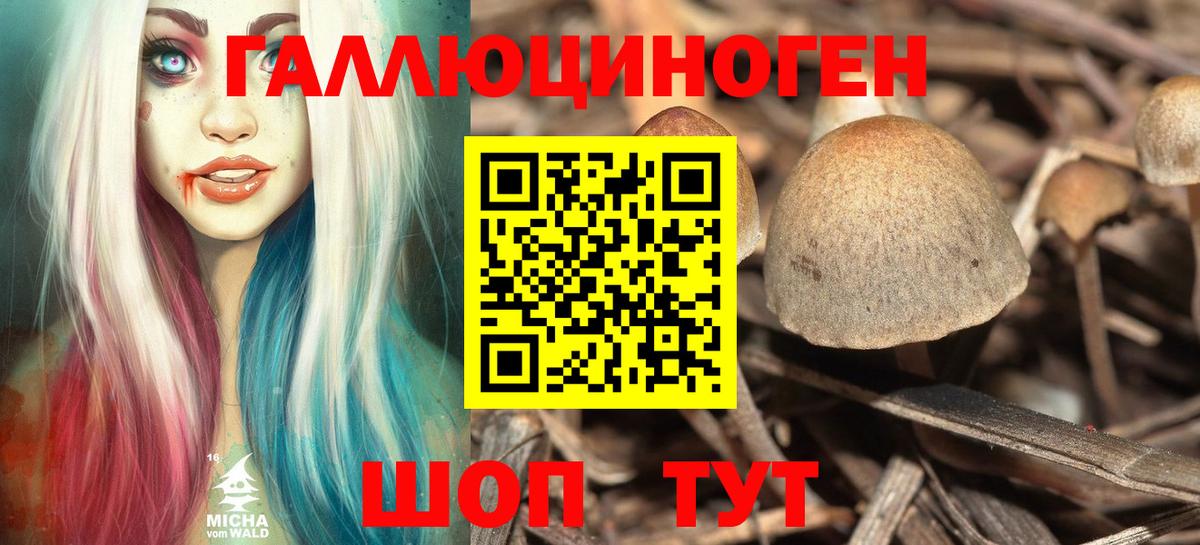Псилоцибиновые грибы Psilocybine cubensis Обь